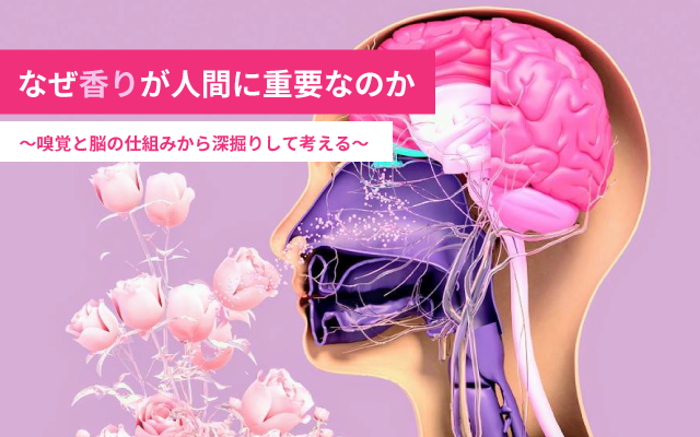 画像の説明
