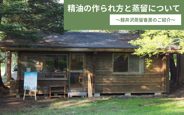 画像の説明