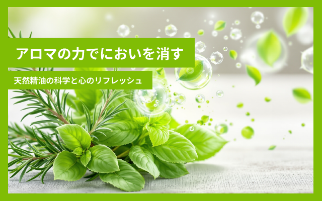 画像の説明